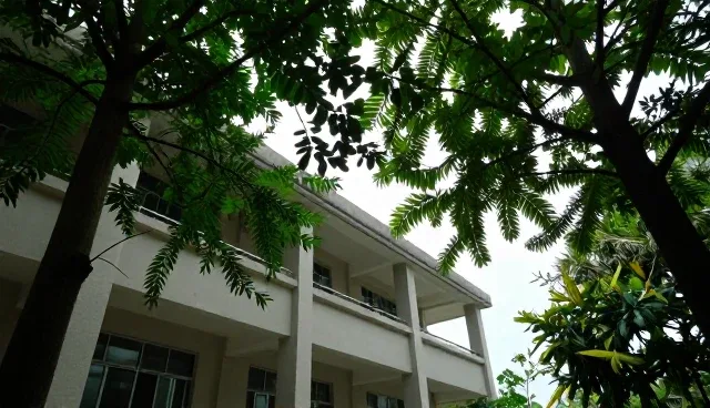 环保型材料在精细化学品领域的应用趋势分析